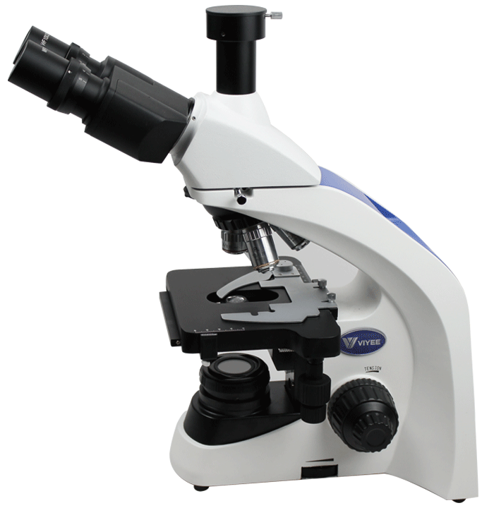 1649512055213613.png V1500.png