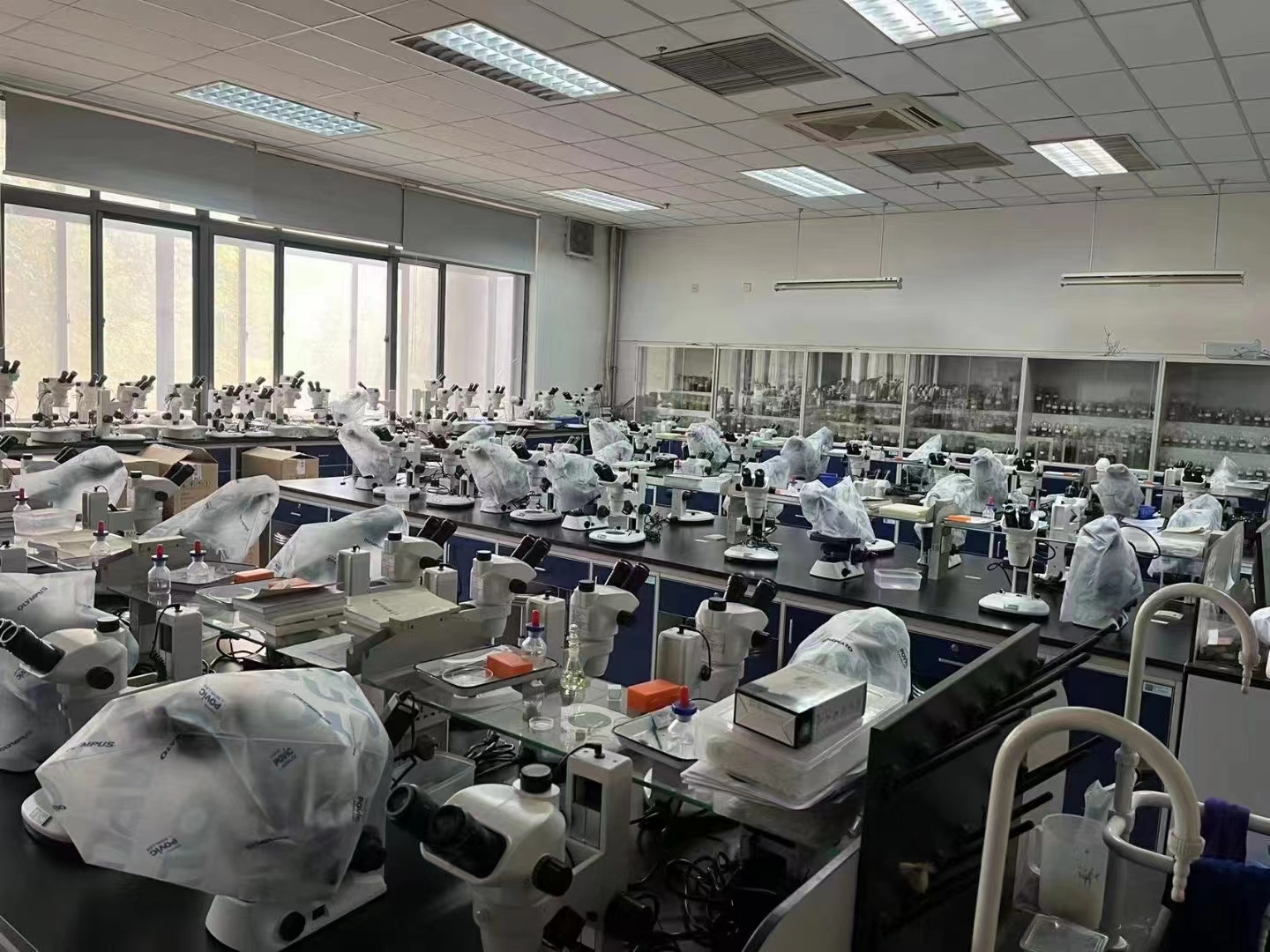 顯微鏡.png 顯微鏡.png